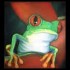 Avatar de robson