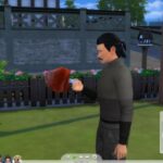 10 Novos Objetos Funcionais para o The Sims 4