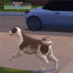 24 Pequenos Mods que Aprimoram a Jogabilidade do The Sims 4
