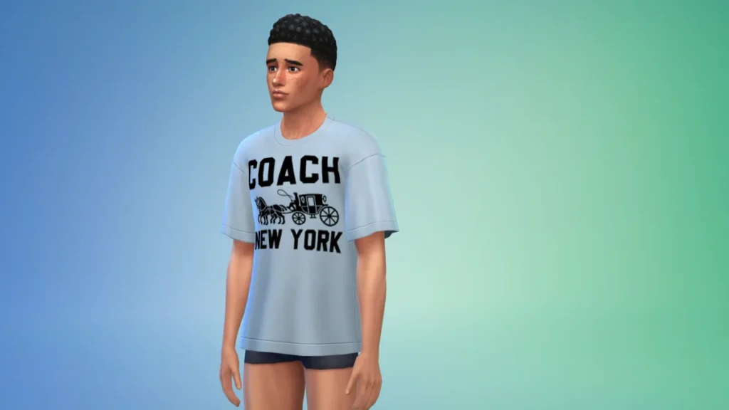 The Sims 4: Tudo O Que Veio na Atualização de Janeiro de 2025